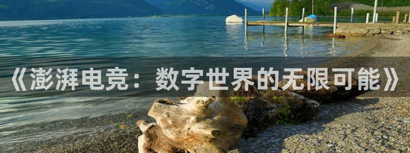 南宫电竞平台：《澎湃电竞：数字世界的无限可能》