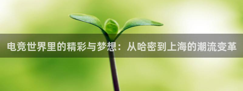 南宫电竞登陆：电竞世界里的精彩与梦想：从哈密到上海的潮流变革