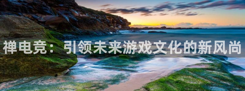 南宫电竞网：禅电竞：引领未来游戏文化的新风尚