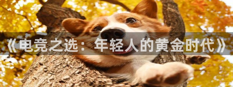 南宫电竞网：《电竞之选：年轻人的黄金时代》