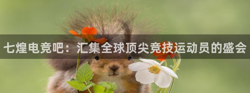南宫电竞登陆：七煌电竞吧：汇集全球顶尖竞技运动员的盛会