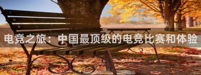 南宫电竞登陆：电竞之旅：中国最顶级的电竞比赛和体验