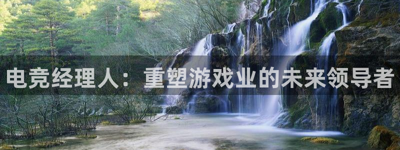 南宫电竞贴吧：电竞经理人：重塑游戏业的未来领导者